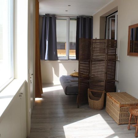 A L'Oree Des Vignes, Superbe Logement De 80 M2 Wangen Kültér fotó