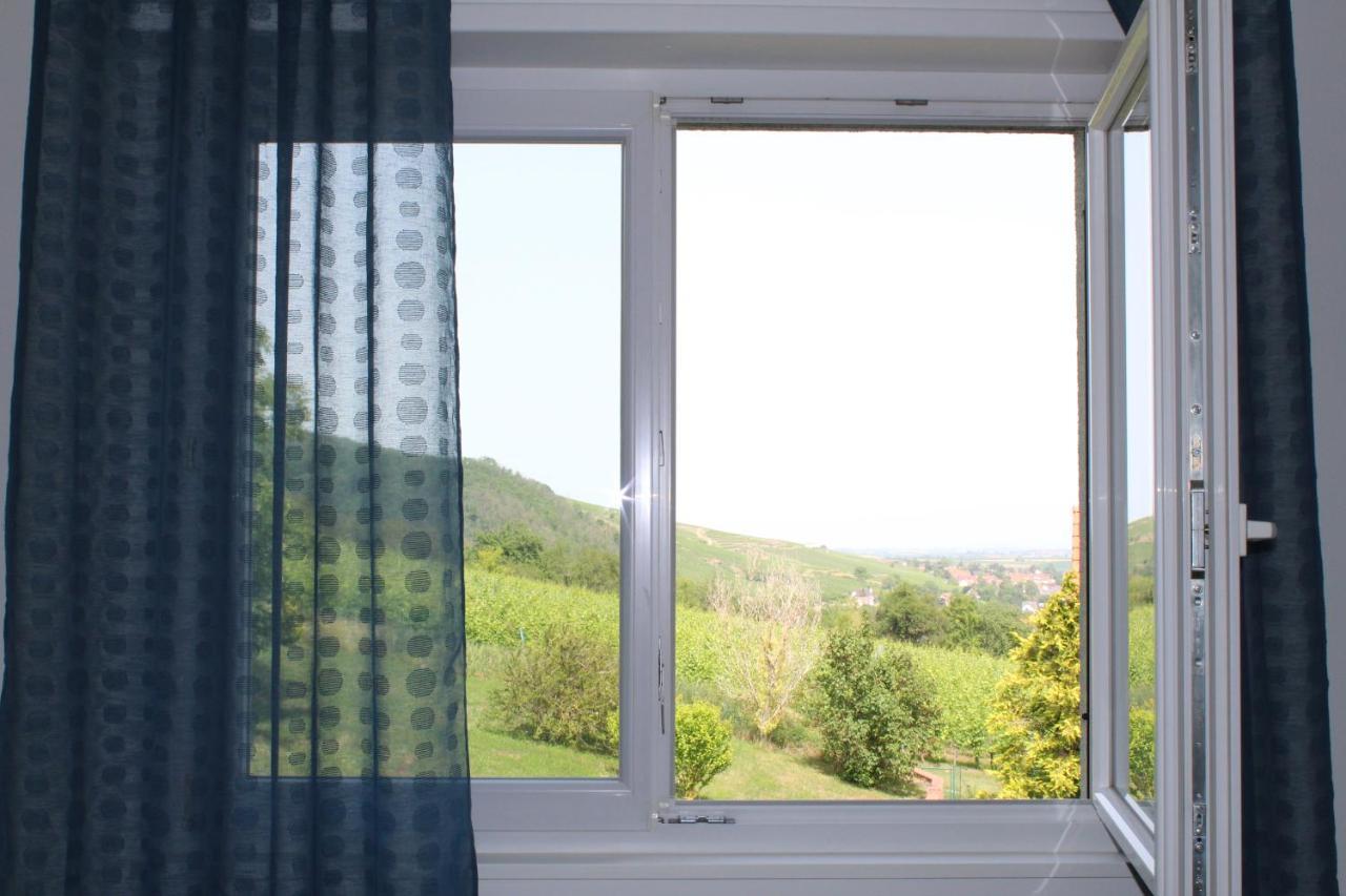 A L'Oree Des Vignes, Superbe Logement De 80 M2 Wangen Kültér fotó