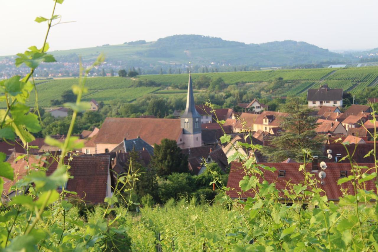 A L'Oree Des Vignes, Superbe Logement De 80 M2 Wangen Kültér fotó